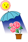 http://www.clean-flora.com/docs/care/light.gif