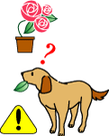 http://www.clean-flora.com/docs/care/pet.gif